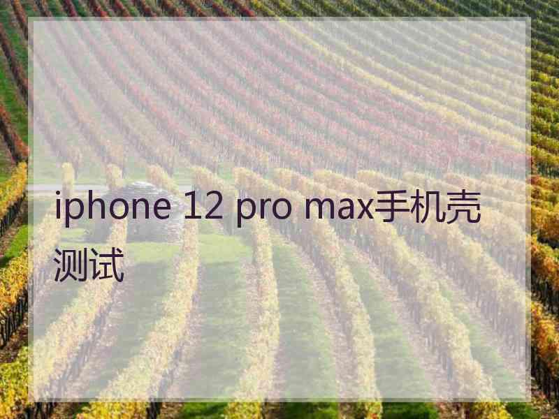 iphone 12 pro max手机壳测试