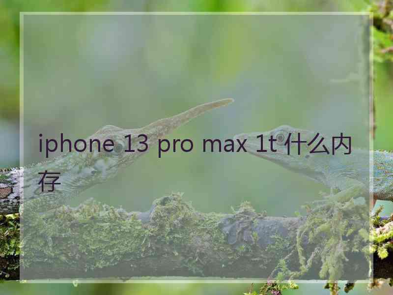 iphone 13 pro max 1t 什么内存