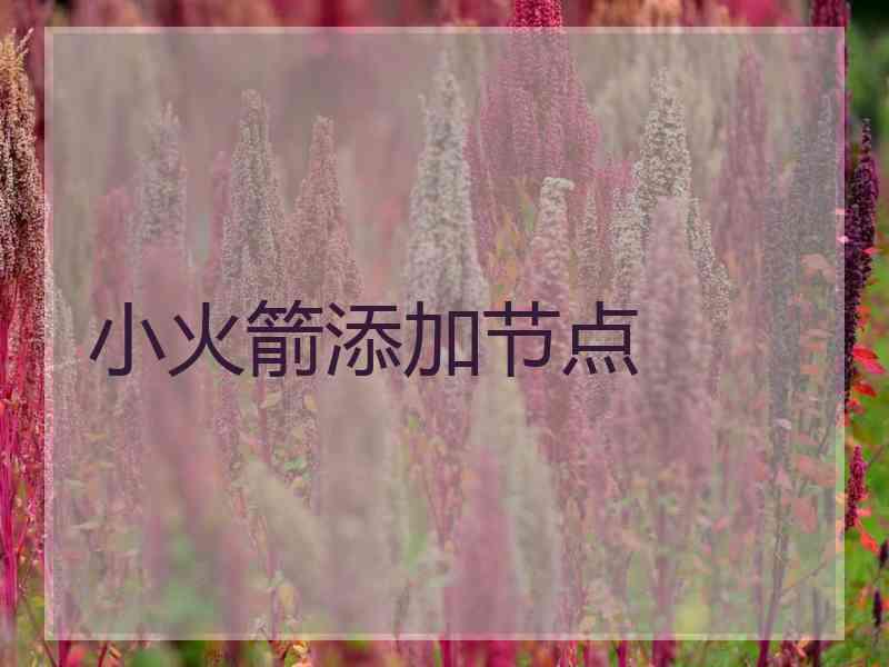 小火箭添加节点