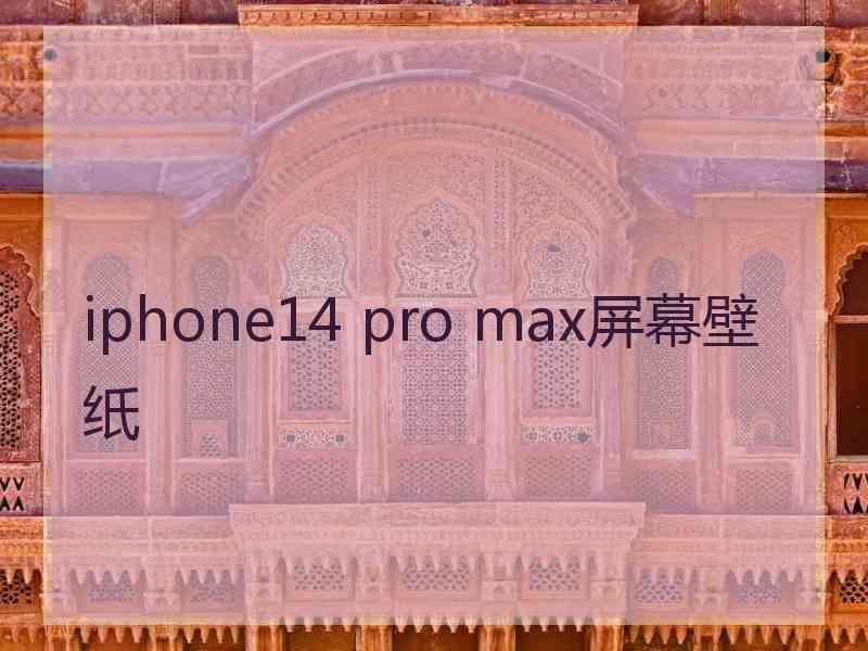 iphone14 pro max屏幕壁纸