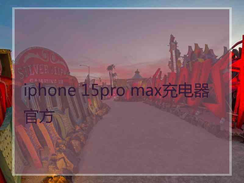 iphone 15pro max充电器官方