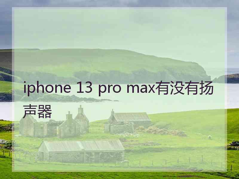 iphone 13 pro max有没有扬声器