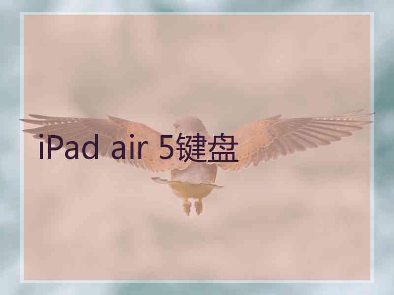 iPad air 5键盘