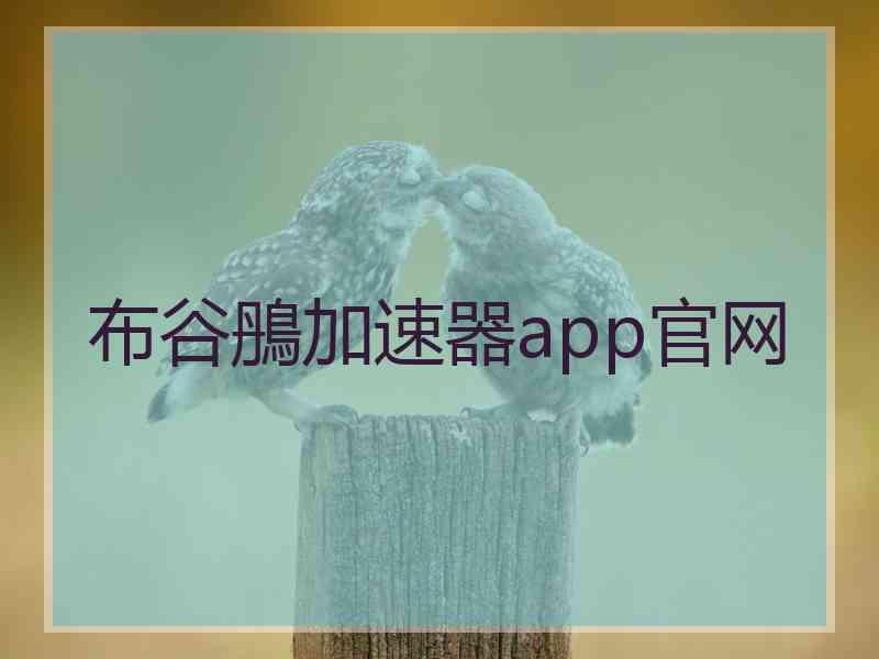 布谷鴅加速器app官网