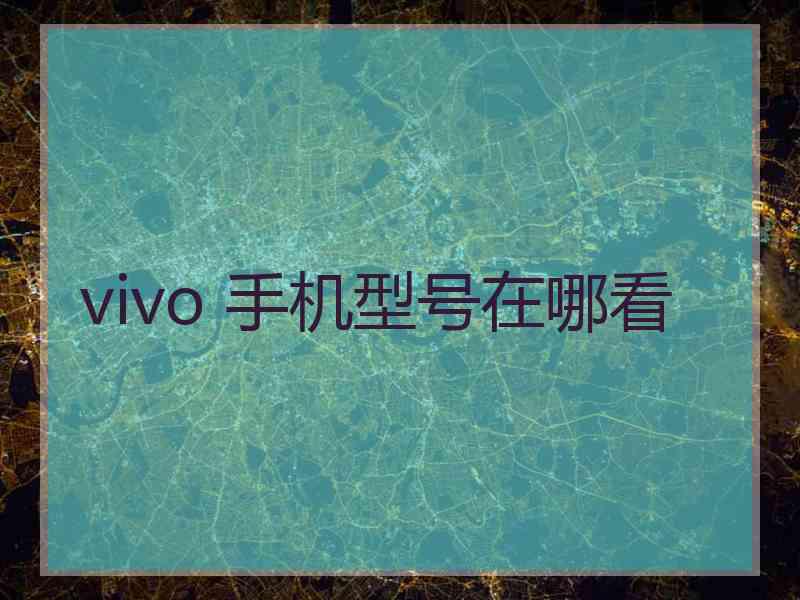 vivo 手机型号在哪看