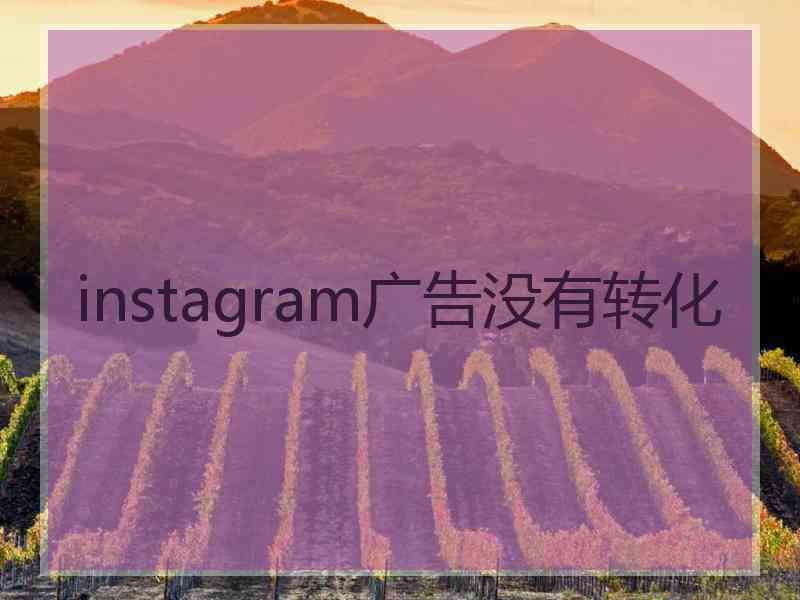 instagram广告没有转化