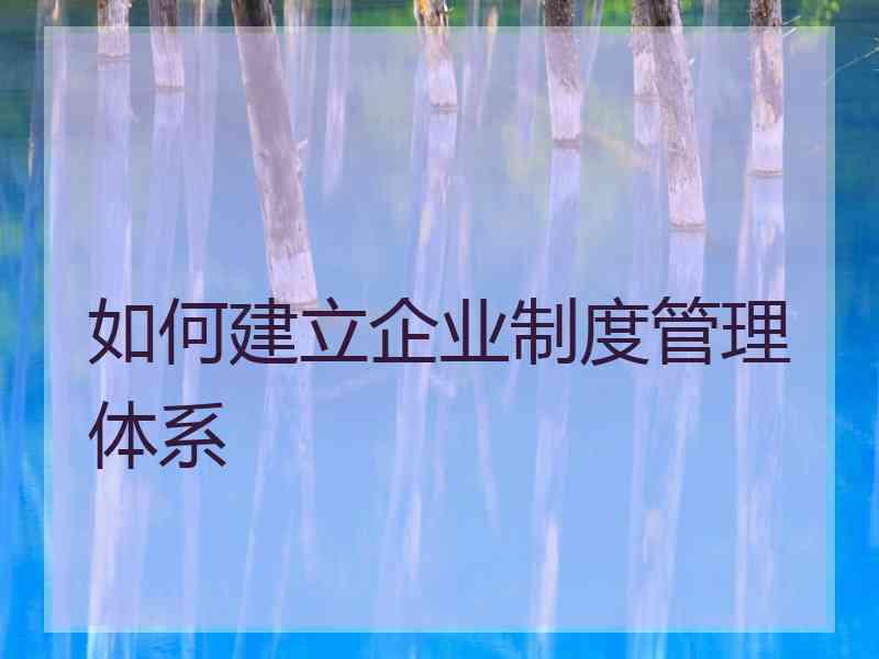 如何建立企业制度管理体系