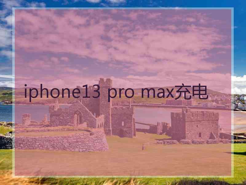 iphone13 pro max充电