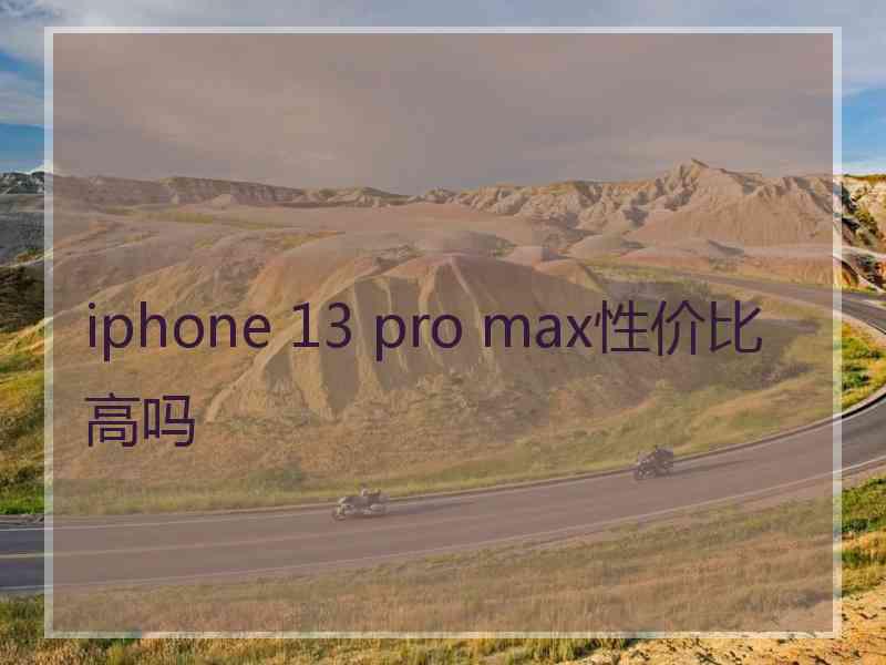 iphone 13 pro max性价比高吗