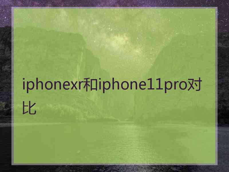 iphonexr和iphone11pro对比