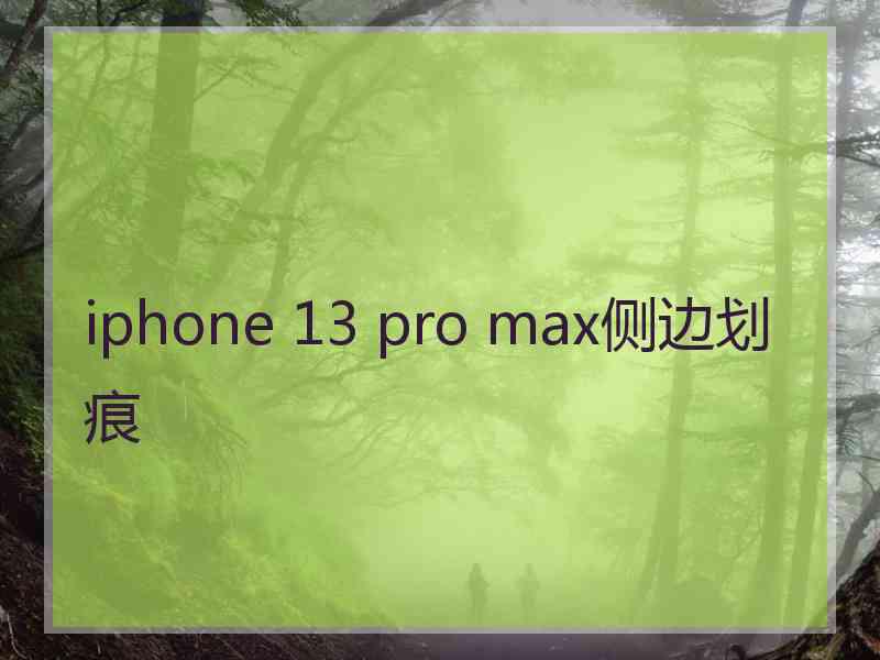 iphone 13 pro max侧边划痕