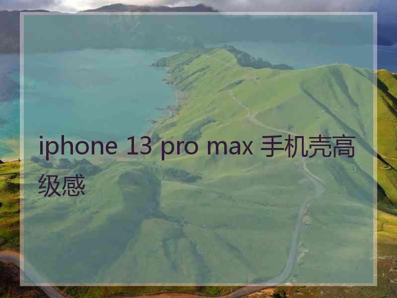 iphone 13 pro max 手机壳高级感