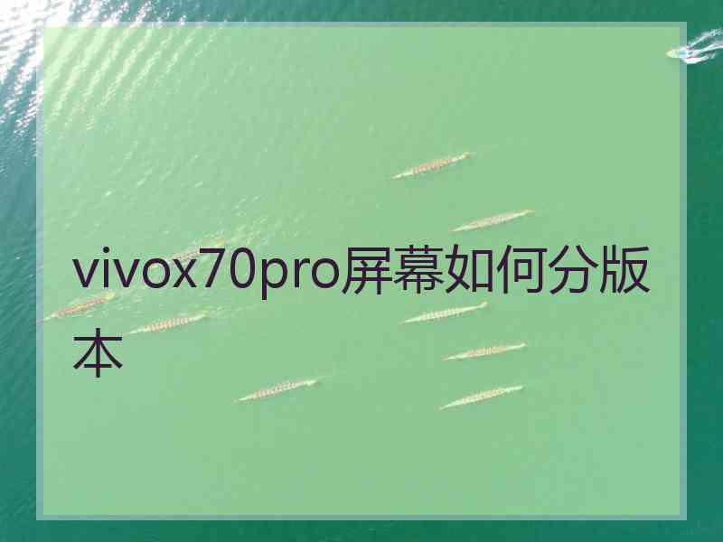 vivox70pro屏幕如何分版本