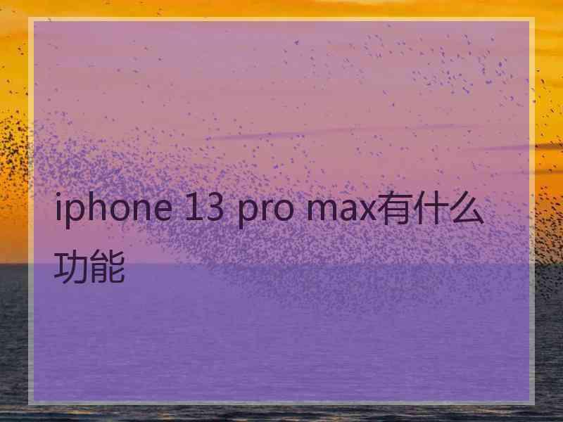 iphone 13 pro max有什么功能