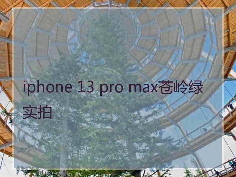 iphone 13 pro max苍岭绿实拍