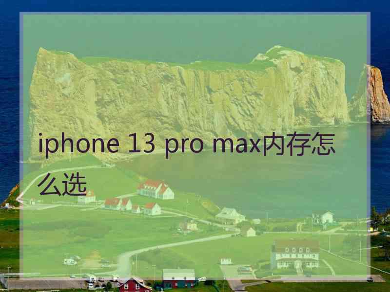 iphone 13 pro max内存怎么选