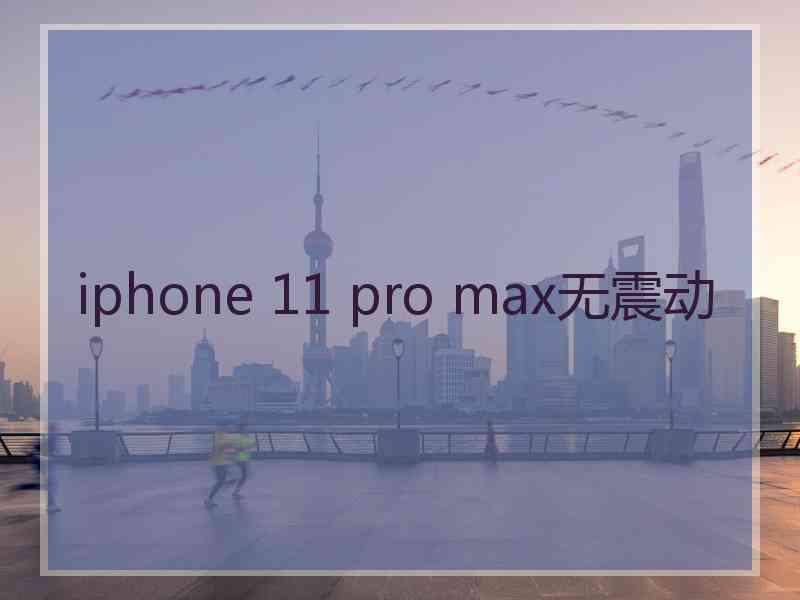 iphone 11 pro max无震动