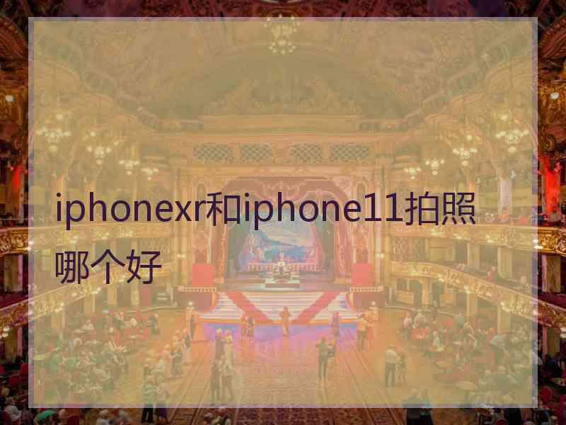 iphonexr和iphone11拍照哪个好