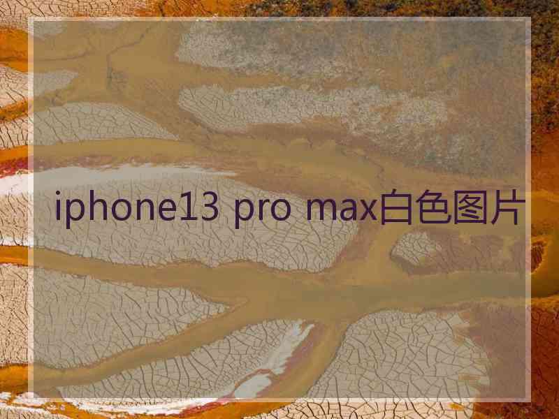 iphone13 pro max白色图片