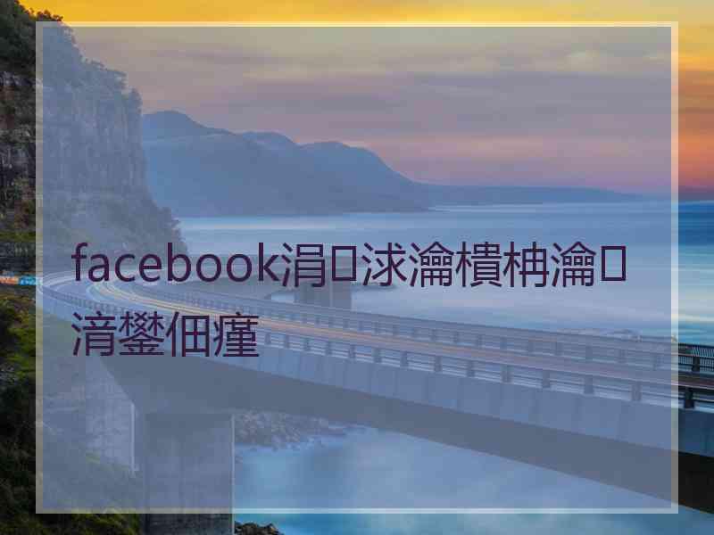 facebook涓浗瀹樻柟瀹㈡湇鐢佃瘽