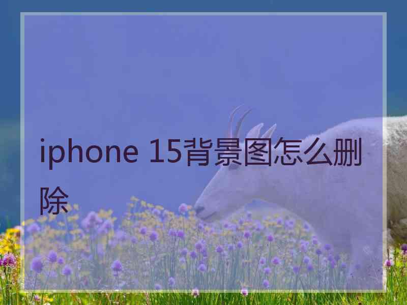 iphone 15背景图怎么删除