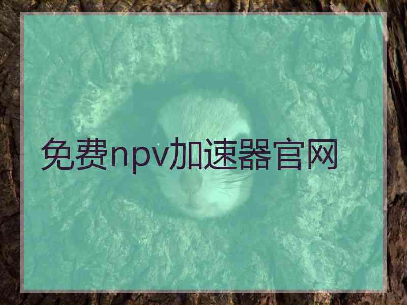 免费npv加速器官网