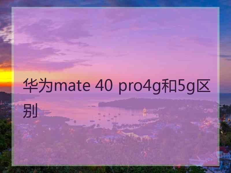 华为mate 40 pro4g和5g区别