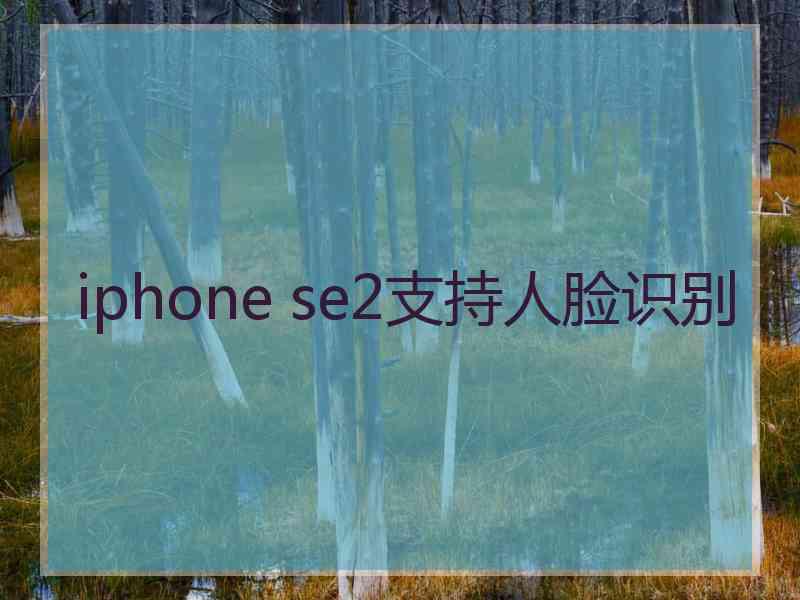 iphone se2支持人脸识别