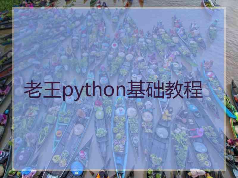 老王python基础教程