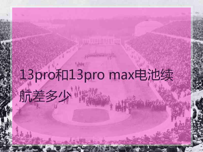 13pro和13pro max电池续航差多少