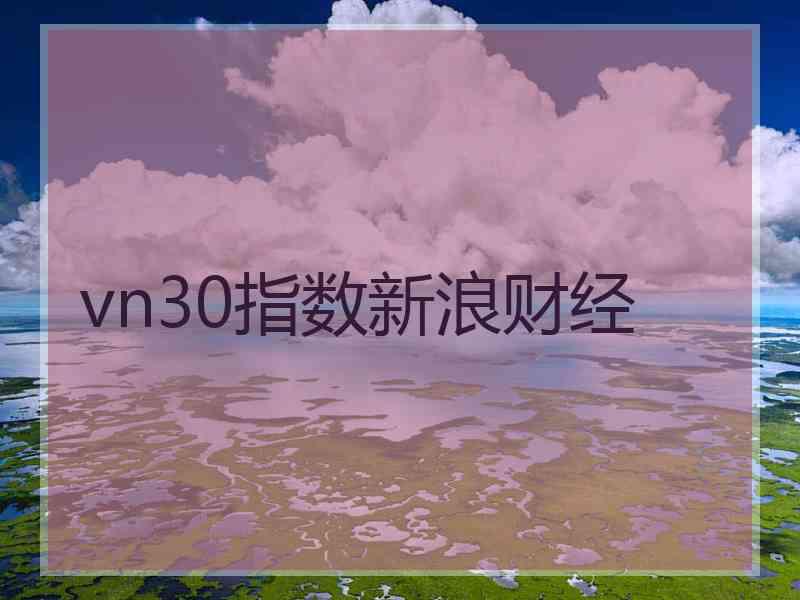 vn30指数新浪财经