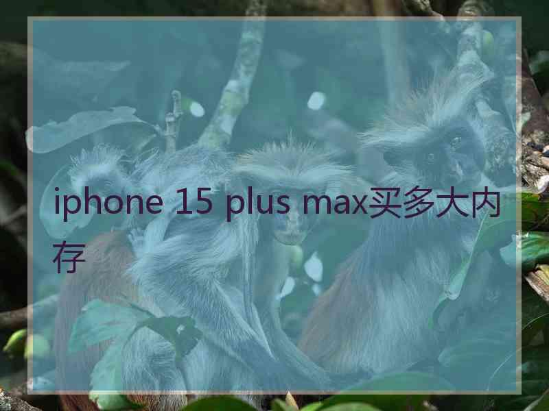 iphone 15 plus max买多大内存