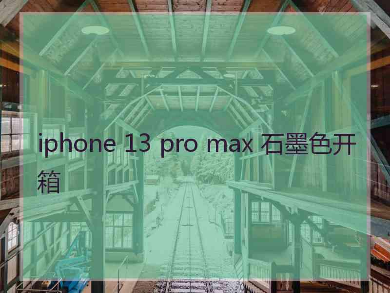 iphone 13 pro max 石墨色开箱