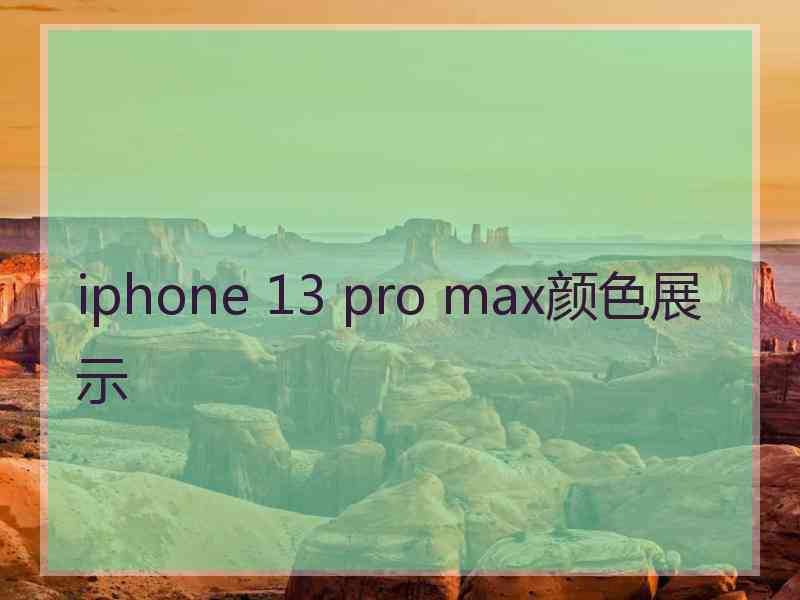 iphone 13 pro max颜色展示