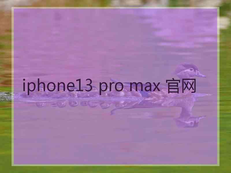 iphone13 pro max 官网