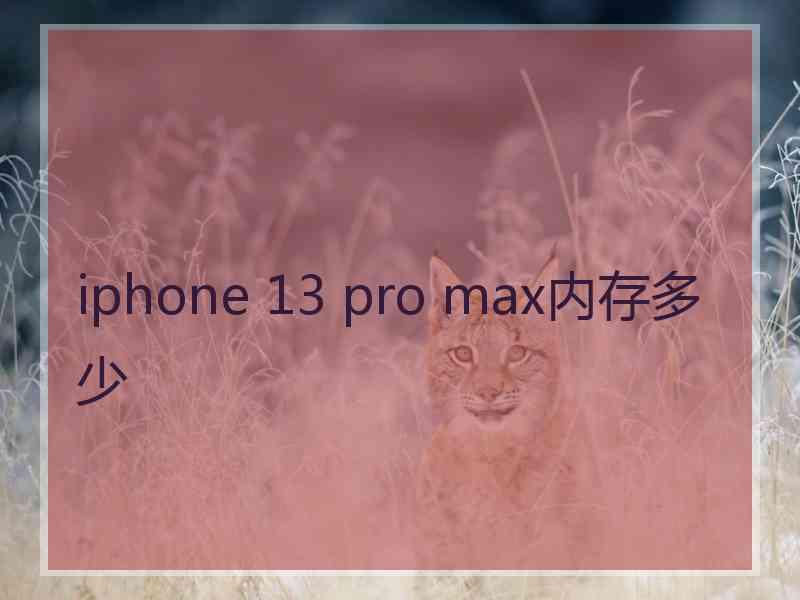 iphone 13 pro max内存多少