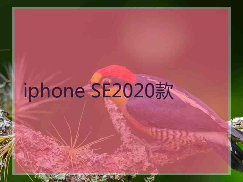 iphone SE2020款