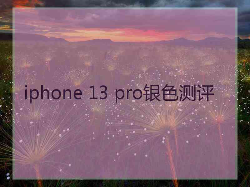 iphone 13 pro银色测评