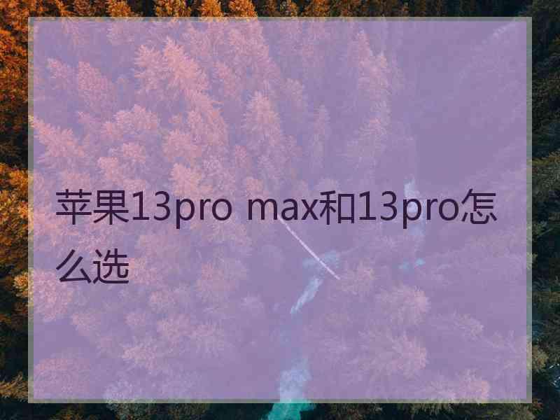 苹果13pro max和13pro怎么选