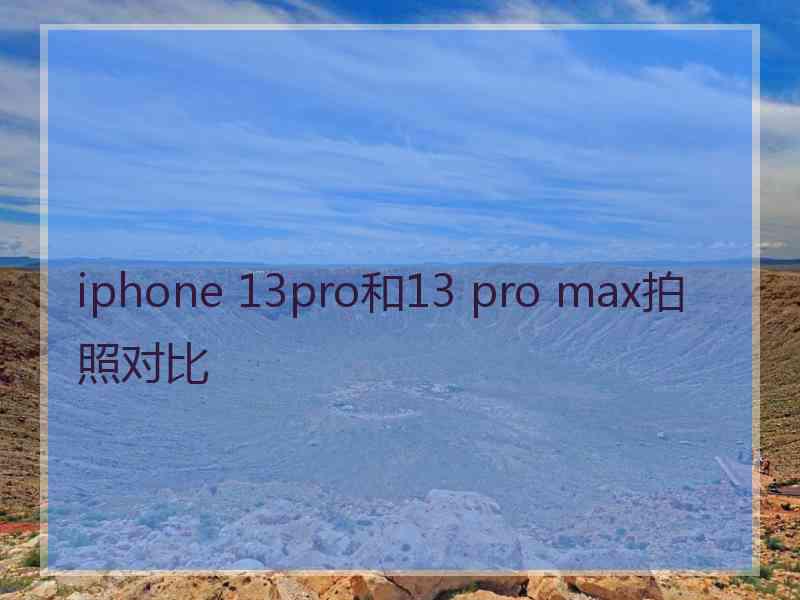 iphone 13pro和13 pro max拍照对比