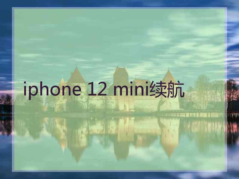 iphone 12 mini续航