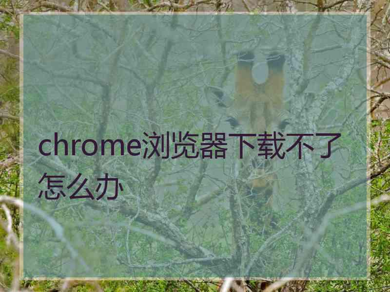 chrome浏览器下载不了怎么办