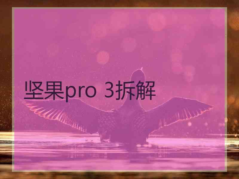 坚果pro 3拆解