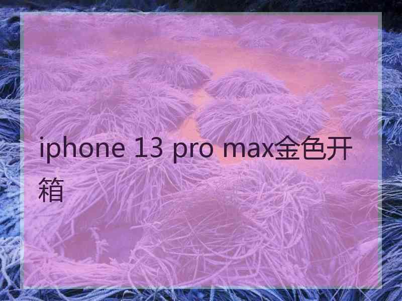 iphone 13 pro max金色开箱