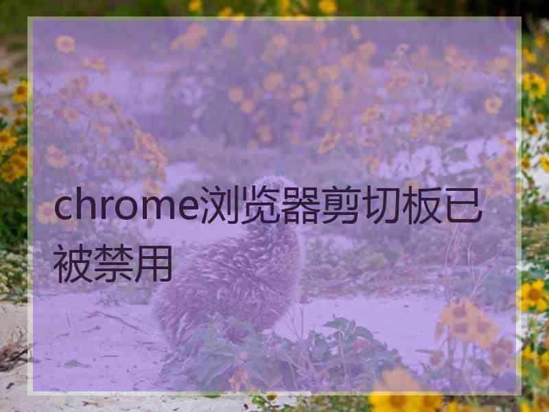 chrome浏览器剪切板已被禁用