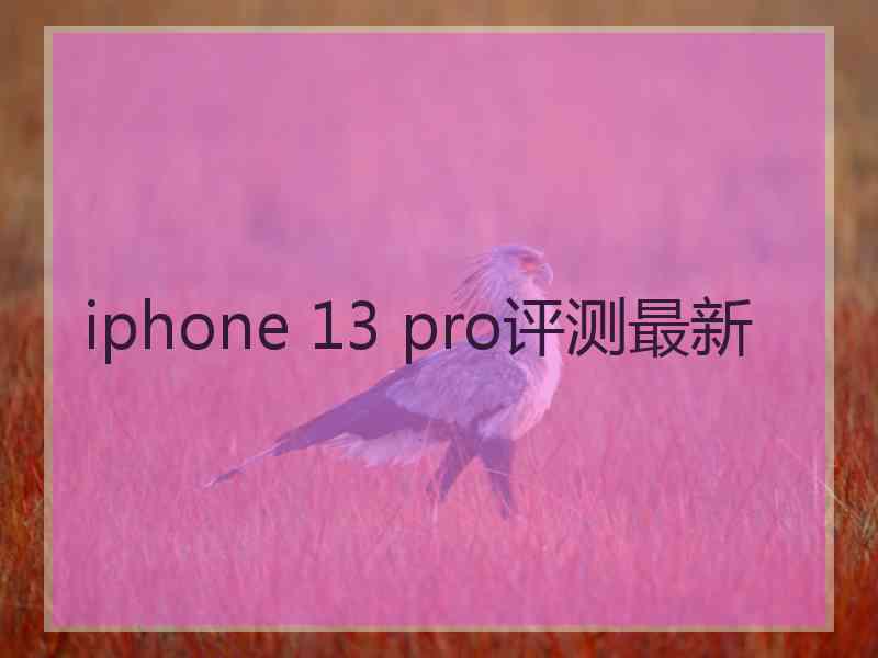 iphone 13 pro评测最新