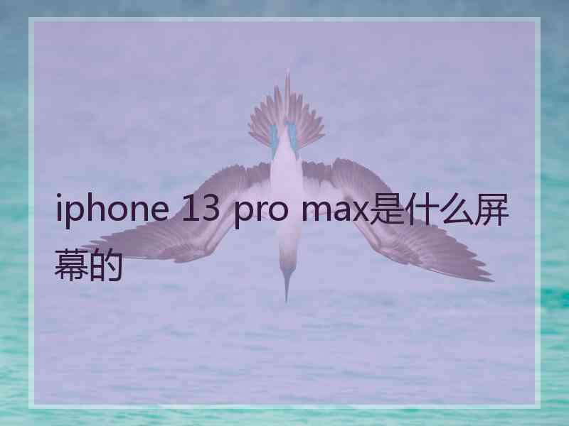 iphone 13 pro max是什么屏幕的