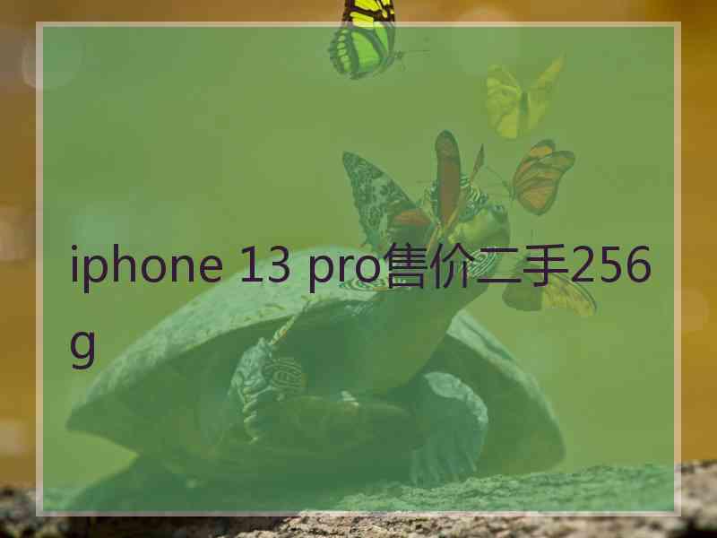 iphone 13 pro售价二手256g