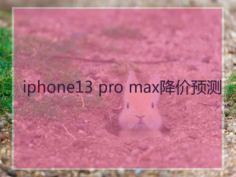 iphone13 pro max降价预测