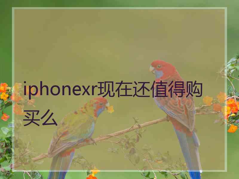 iphonexr现在还值得购买么